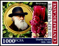 7380CAF22.jpg 7380CAF22.jpg